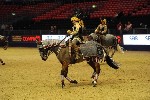 Quadrille - 00801